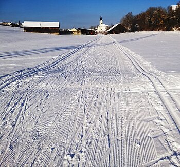 Verschneite Landschaft mit Skispuren, ein Ort zum Langlaufen in der Monheimer Alb. Im Hintergrund Gebäude, eine Kirche und blauer Himmel zu sehen.