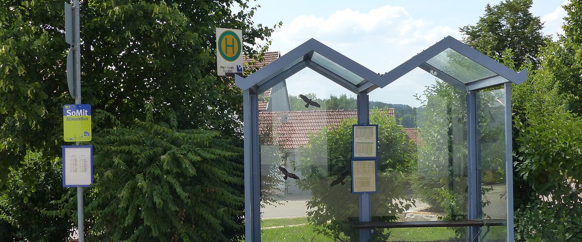 Bushaltestelle mit Glasüberdachung, umgeben von Bäumen und Sträuchern, mit Fahrplan und Haltestellenschild.